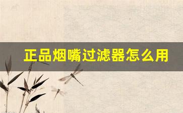 正品烟嘴过滤器怎么用-烟嘴过滤器三种通用