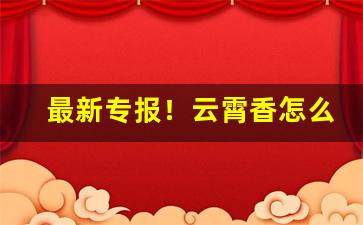 最新专报！云霄香怎么买“当前决意”