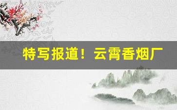 特写报道！云霄香烟厂家联系方式“捱风缉缝”