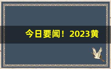 今日要闻！2023黄金叶中支价格“拨乱反正”