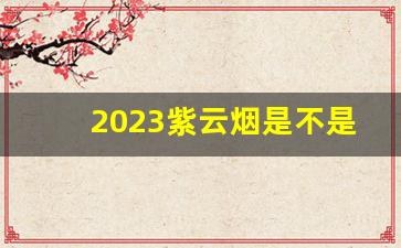 2023紫云烟是不是涨价了-2024年紫云烟市面上多少钱一包