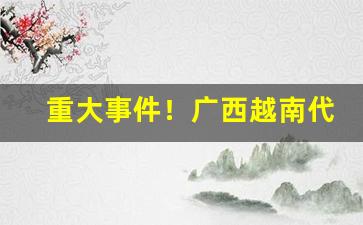 重大事件！广西越南代工香烟一手批发供货“多财善贾”