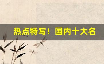 热点特写！国内十大名牌床垫“存亡絶续”