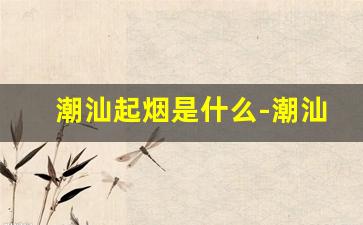 潮汕起烟是什么-潮汕抽啥烟