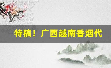 特稿！广西越南香烟代工一手货“不识一丁”