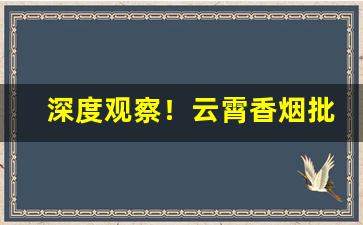 深度观察！云霄香烟批发市场都在哪里？“捣虚批吭”