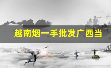 越南烟一手批发广西当地-广西北海有批发越南烟的吗