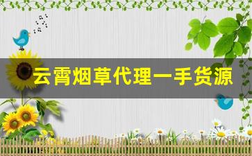 云霄烟草代理一手货源专门卖香烟-烟酒档口批发云霄烟