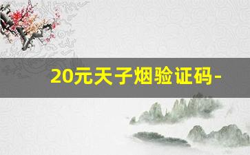 20元天子烟验证码-20元天子香烟验证码前有个北字