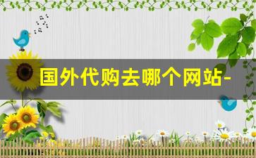 国外代购去哪个网站-美国的海外代购平台
