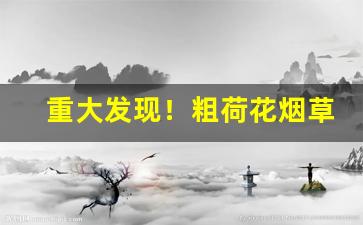 重大发现！粗荷花烟草公司批发价是多少“二三子”