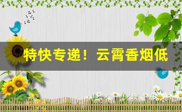 特快专递！云霄香烟低价批发网站“粲然可观”