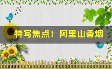 特写焦点！阿里山香烟招聘“逞娇呈美”