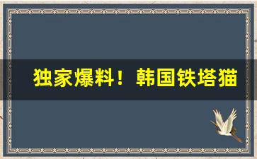 独家爆料！韩国铁塔猫免税店官网“传诵一时”
