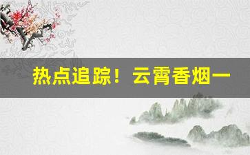 热点追踪！云霄香烟一手货源一件起批2022价格行情“白雪阳春”