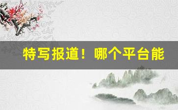 特写报道！哪个平台能批发烟管“长天大日”