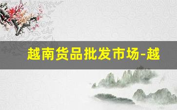 越南货品批发市场-越南江北有批发市场吗