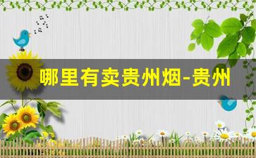 哪里有卖贵州烟-贵州能买到什么烟