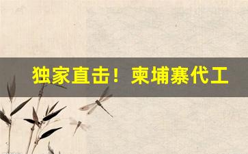 独家直击！柬埔寨代工厂“高世之行”