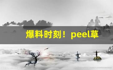 爆料时刻！peel草莓爆珠哪里买“德洋恩普”