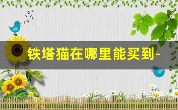 铁塔猫在哪里能买到-铁塔猫山东哪里可以买到