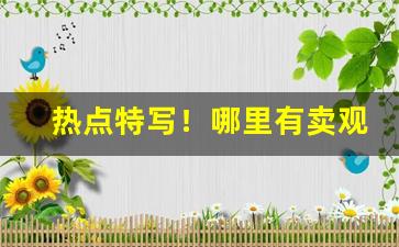 热点特写！哪里有卖观赏莲花“杜弊清源”
