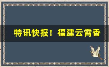 特讯快报！福建云霄香烟一手批发货源“低头耷脑”