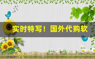 实时特写！国外代购软件网站排名“半工半读”