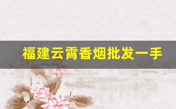 福建云霄香烟批发一手货源代理-福建云霄烟批发供应商