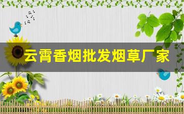 云霄香烟批发烟草厂家直销-云霄烟厂家直供