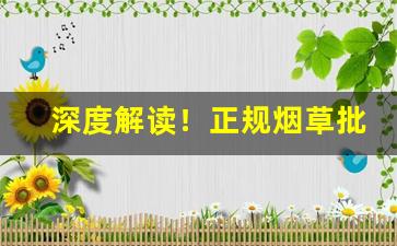 深度解读！正规烟草批发价格查询“本色当行”