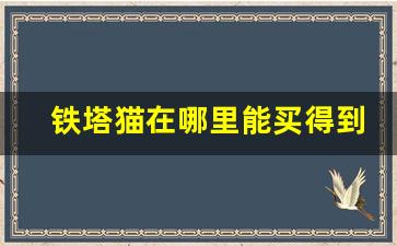 铁塔猫在哪里能买得到-铁塔猫上海哪里能买到