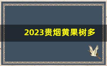 2023贵烟黄果树多少钱一包-贵烟磨砂黄果树最新多少钱一包