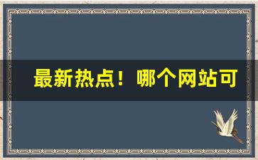最新热点！哪个网站可以买外烟“东坡画扇”