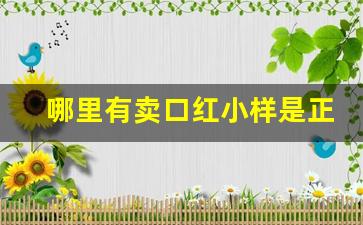 哪里有卖口红小样是正品的-哪里有卖大牌口红小样的