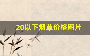 20以下烟草价格图片大全-中国产烟草价格和照片