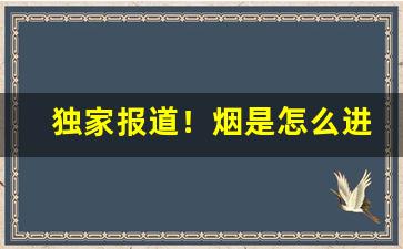 独家报道！烟是怎么进入市场的“等闲之辈”