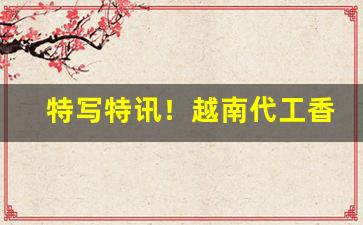 特写特讯！越南代工香烟厂家直销“百年偕老”