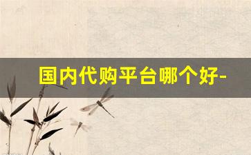 国内代购平台哪个好-靠谱的国内代购网
