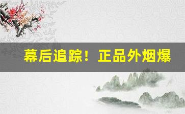 幕后追踪！正品外烟爆珠烟代购“倒持戈矛”
