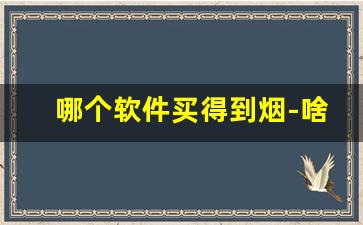 哪个软件买得到烟-啥软件能买到烟