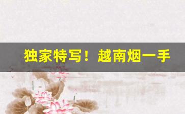 独家特写！越南烟一手批发东兴厂家“大雨滂沱”
