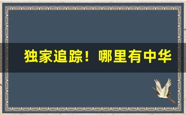 独家追踪！哪里有中华烟批发“超世之功”