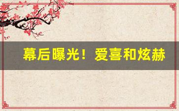 幕后曝光！爱喜和炫赫门哪个好“改曲易调”