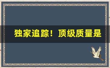 独家追踪！顶级质量是什么货“单人匹马”