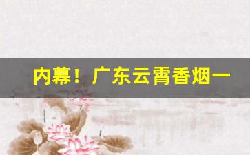 内幕！广东云霄香烟一手货源“得胜回朝”