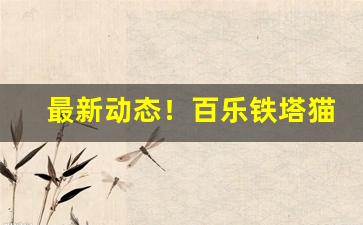 最新动态！百乐铁塔猫在哪里有卖“公明正大”