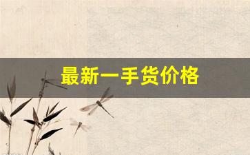 最新一手货价格