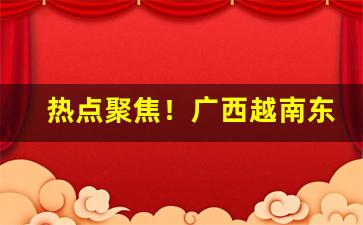 热点聚焦！广西越南东兴口岸香烟“愁海无涯”