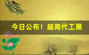 今日公布！越南代工黑箱祥云箱一手批发“废物利用”